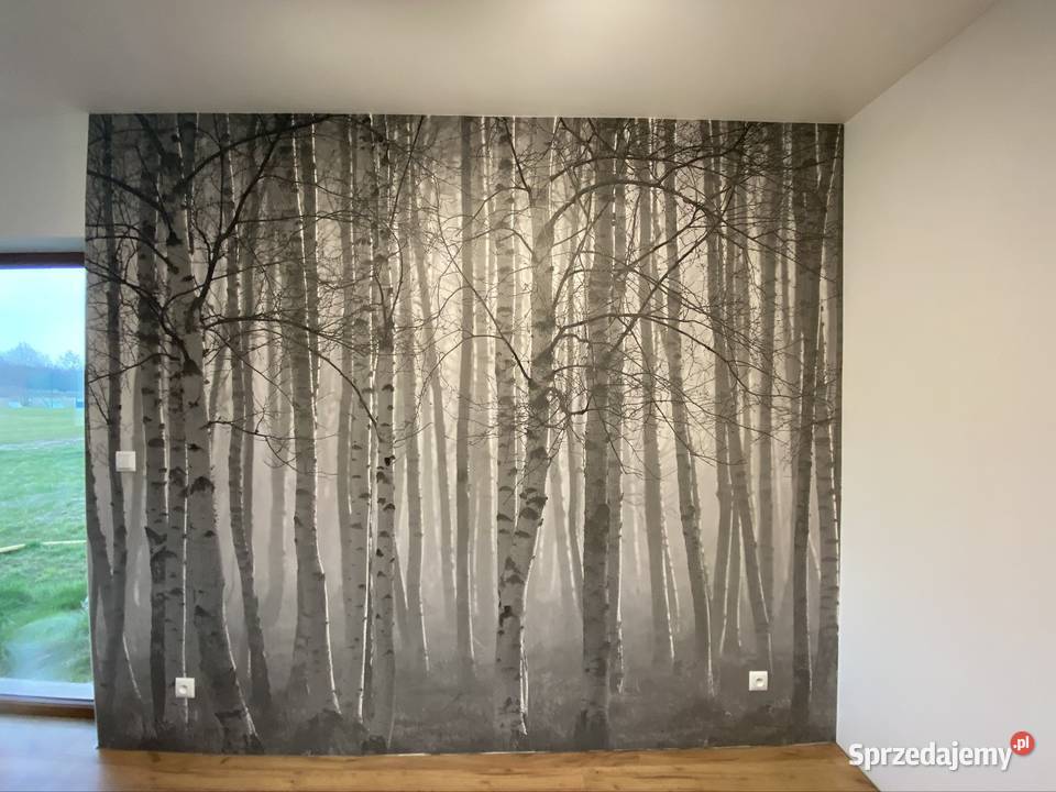 Tapetowanie podkarpackie Rzeszów