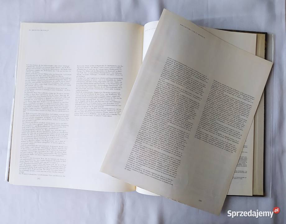 Spotkanie z lasem C Hajnówka