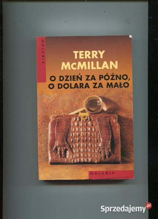 O dzień późno o dolara mało Terry McMillian Książki i Podręczniki Szczecin sprzedam