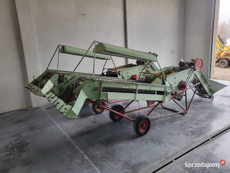 Sortownik do ziemniaków