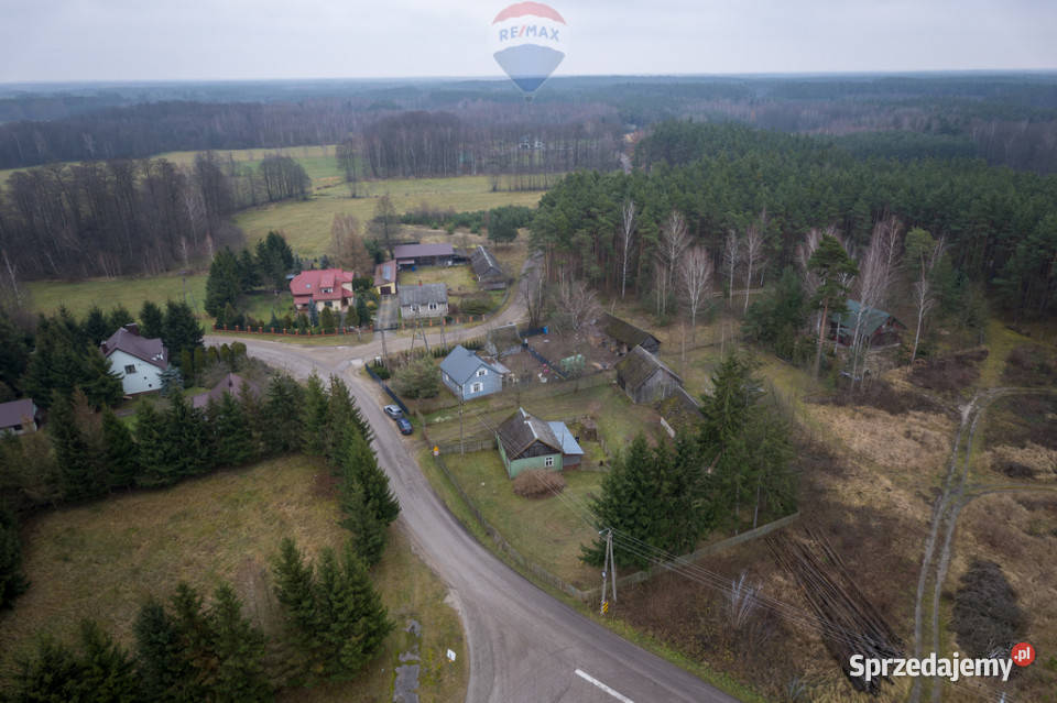 SIEDLISKO Z POTENCJAŁEM W SERCU NATURY wolnostojący Brzuza sprzedam