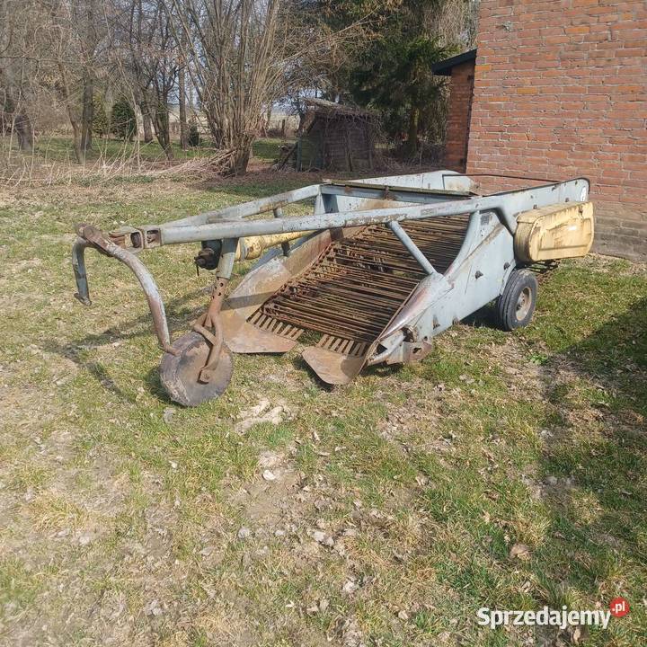 Kopaczka do ziemniaków elewatorowa nieuszkodzony lubelskie
