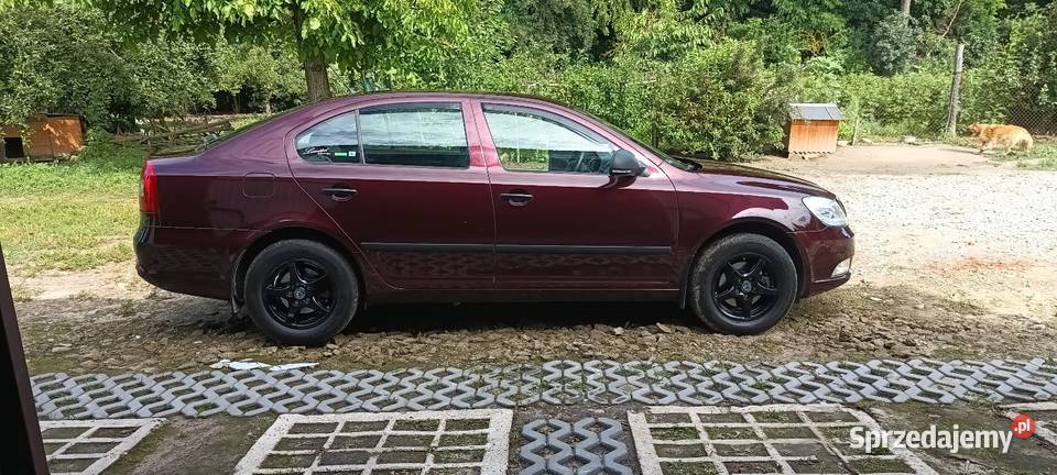 Skoda Octavia II salonowa polska kupiony w polskim salonie Octavia