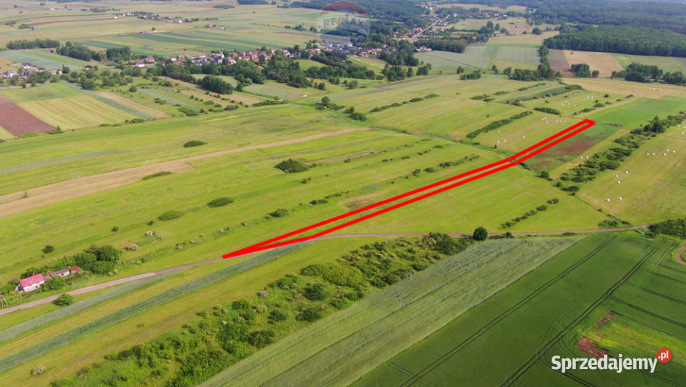 Działka rolna PorębaNiwki rolna Poręba