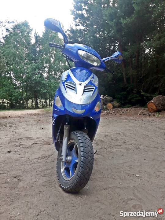 Kingway Coliber Rex 8050 Brodnica