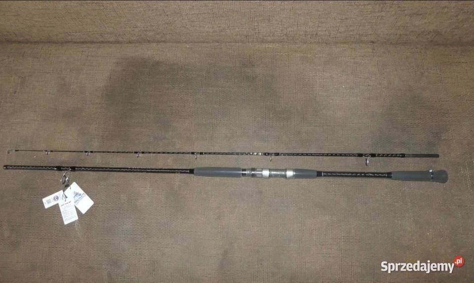 Zestaw spinningowy Sosnowiec