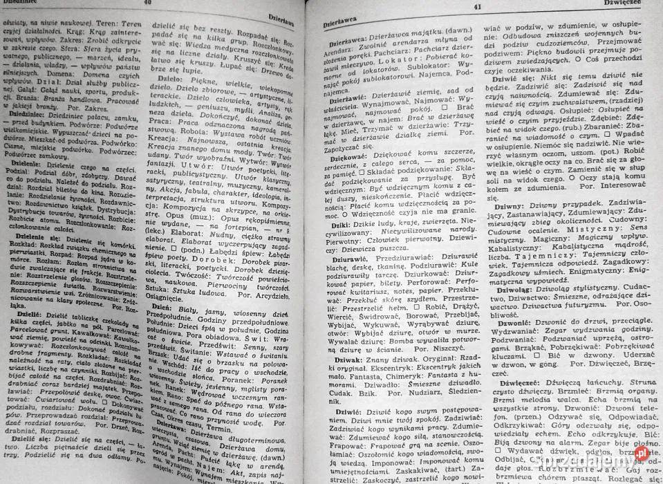 Słownik wyrazów bliskoznacznych Stanisław lubelskie Chełm sprzedam