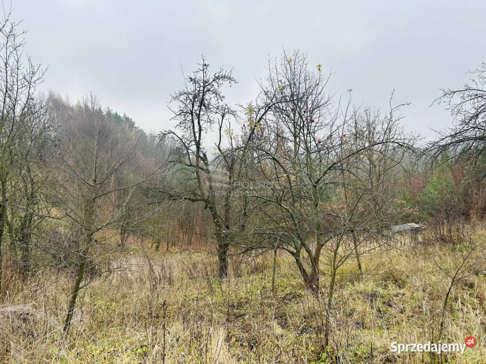 Działki rolneTymin asfalt