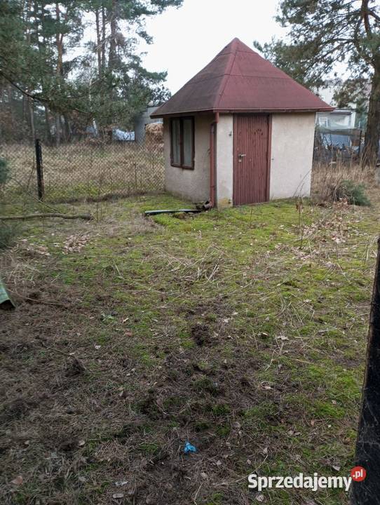 Sprzedam działkę z domkiem Ciechocinek Pasniki