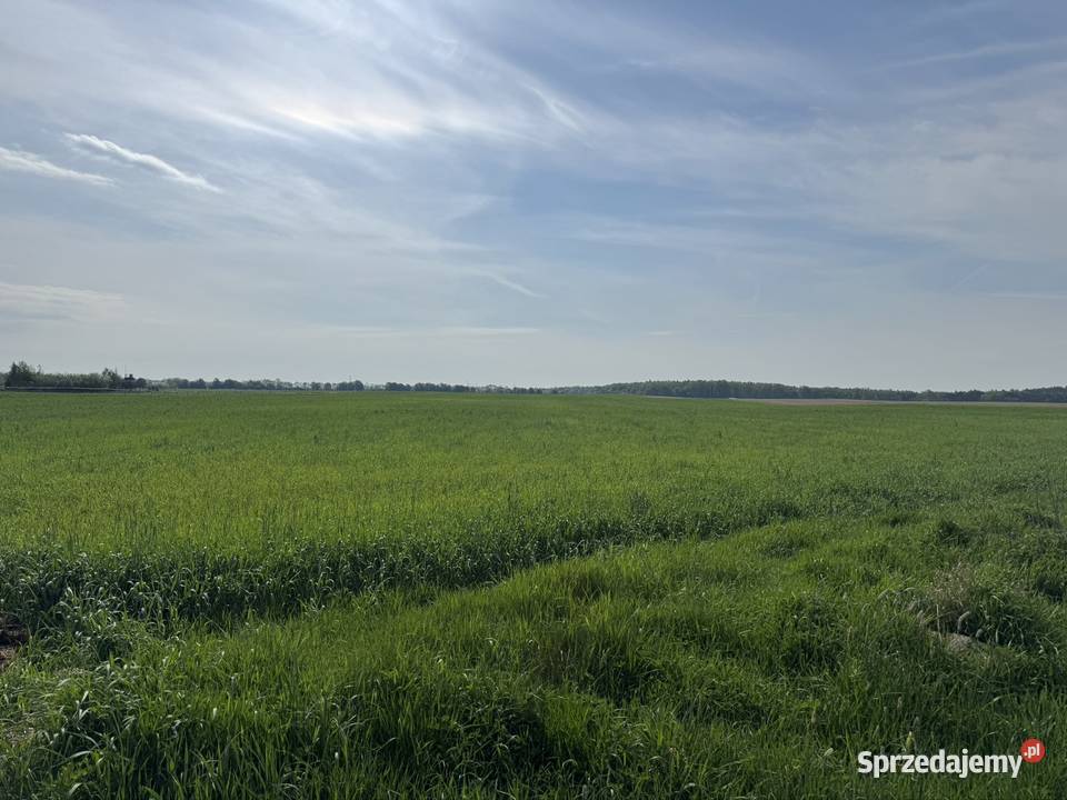Działki budowlane Daleszyn