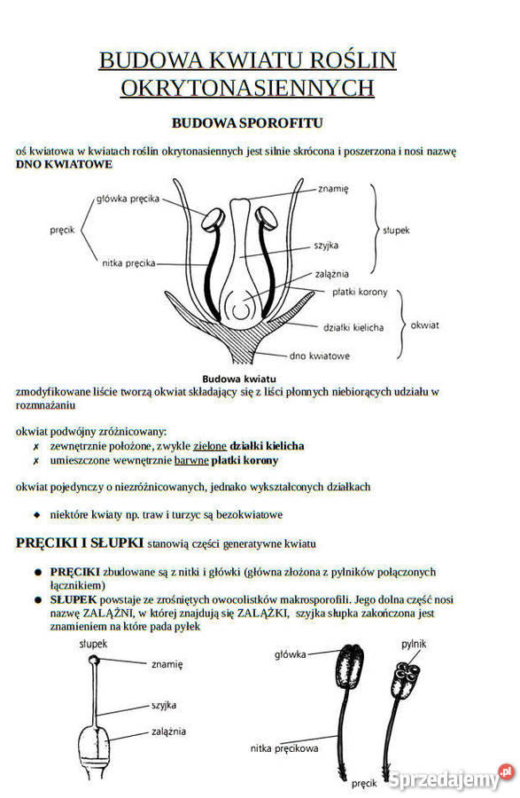 BIOLOGIA Matura Notatki z Biologii małopolskie sprzedam