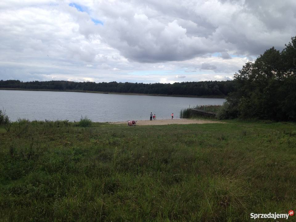 Domek letniskowy w okolicyWIlczyn Wilczyn