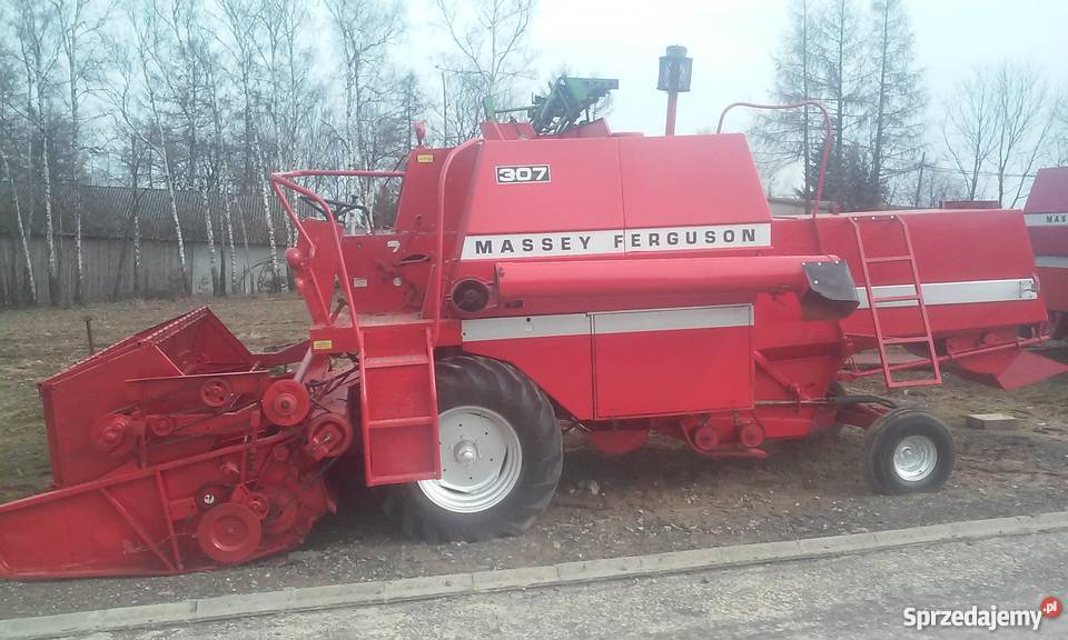 Massey ferguson 307 Miechów