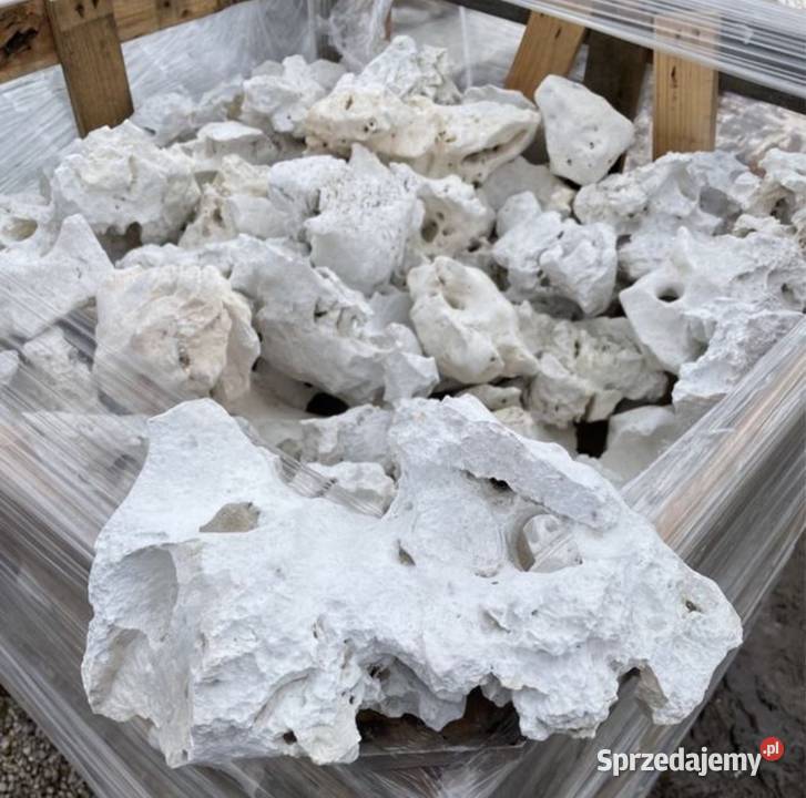 WAPIEŃ FILIPIŃSKI Biała Skała do Akwarium Malawi Akwarystyka Warszawa