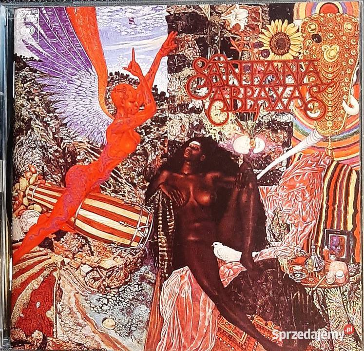 Wspaniały Album CD Zespołu FLEETWOOD MAC Album Płyty i kasety Wrocław