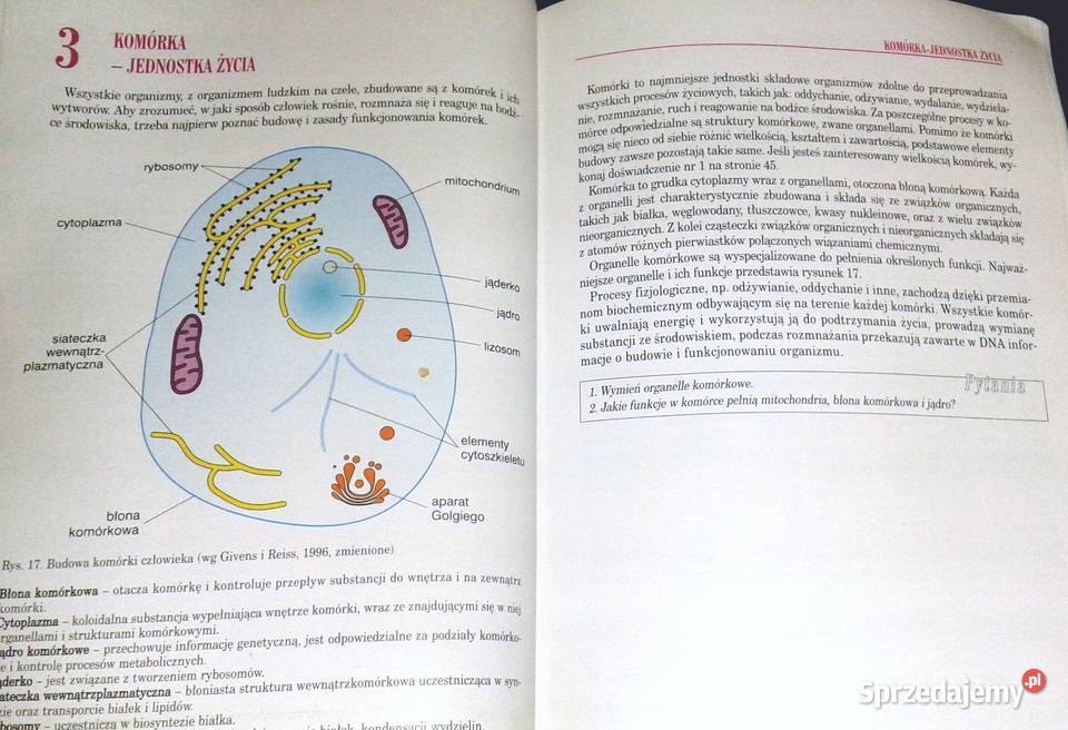 Biologia 1 Podstawy życia Tajemnice ludzkiego Chełm