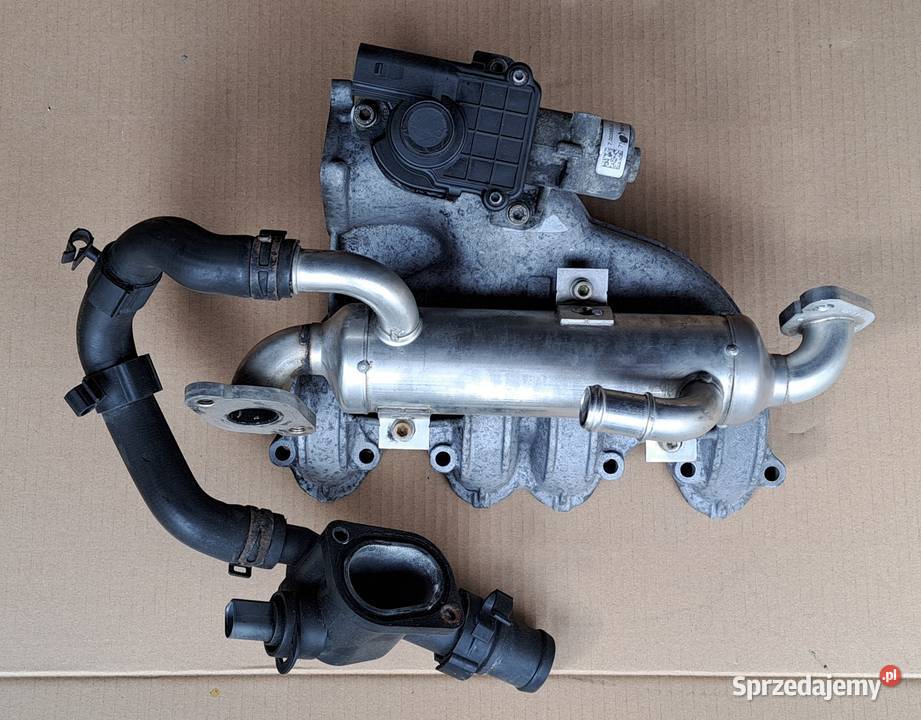 KOLEKTOR ZAWÓR EGR VW TRANSPORTER T5 19 TDI Kolektory ssące Mielęcin