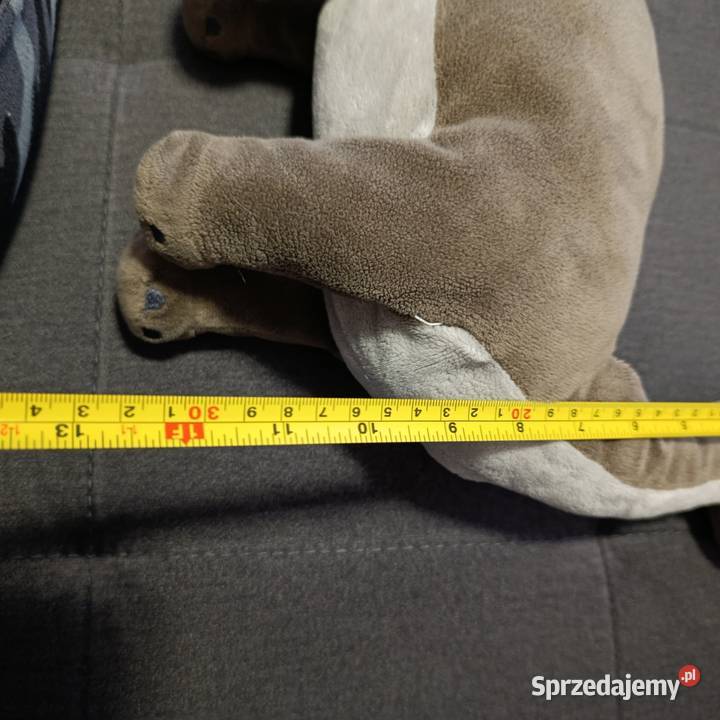 dinozaur gustaw Dino sasha 45 wielkopolskie