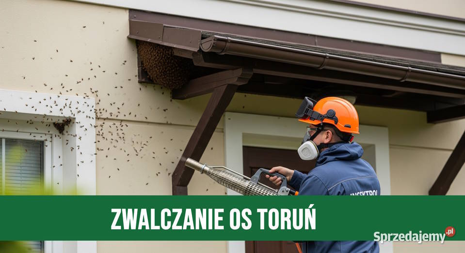 Zwalczanie Os Toruń Usuwanie Gniazd