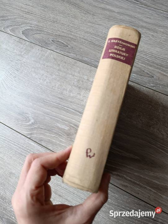 dzieje literatury polskiej julian Krzyżanowski Poznań