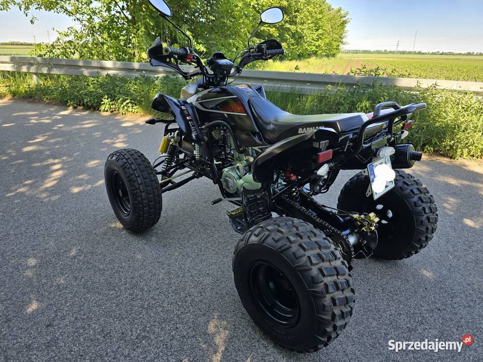 Quad Bashan 250cc Ciecz 41R Kat B Duża Rama nieuszkodzony kujawsko-pomorskie Kruszwica