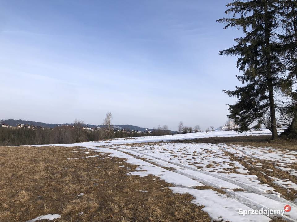 Działka rolna z widokiem na Tatry Zakopane Sprzedaż