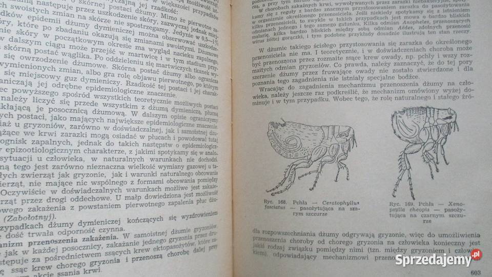 Epidemiologia szczgółowa Gromaszewskij Wajndrach Łódź