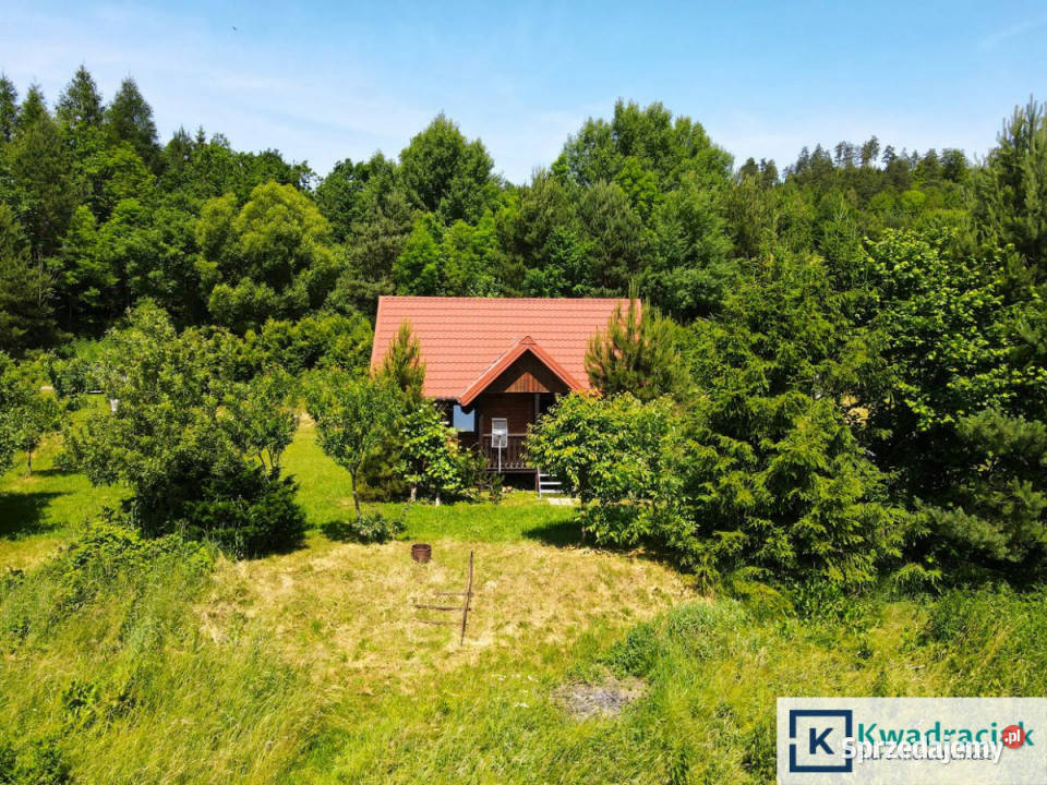 Dom wolnostojący Siemuszowa 443m2