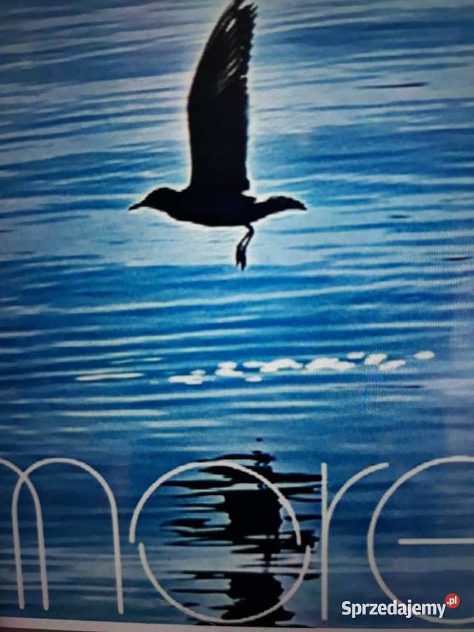 Archiwum jugosłowiańskiego jazz rocka MORE More 1 płyta Rzeszów