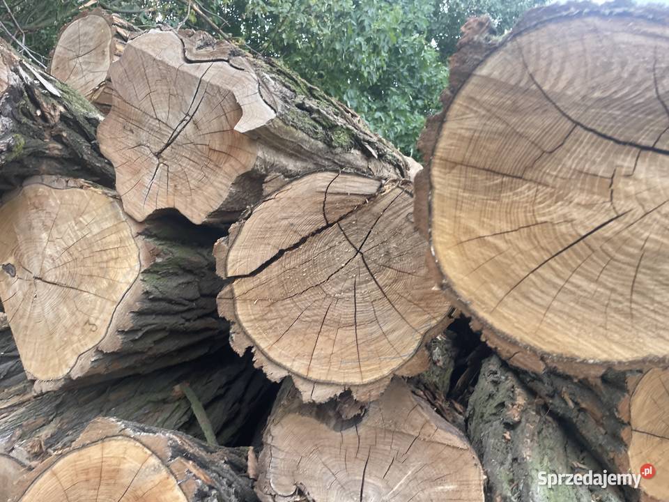 Sprzedam akacje Cieszyny