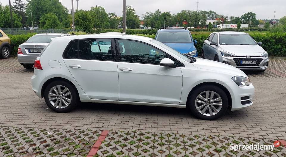 100 Bezwypadkowy Oryginalny lakier Nowy Puławy