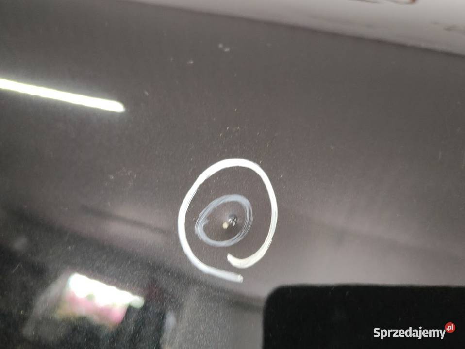 Drzwi Prawy Przód BMW IX I20 Pleszew