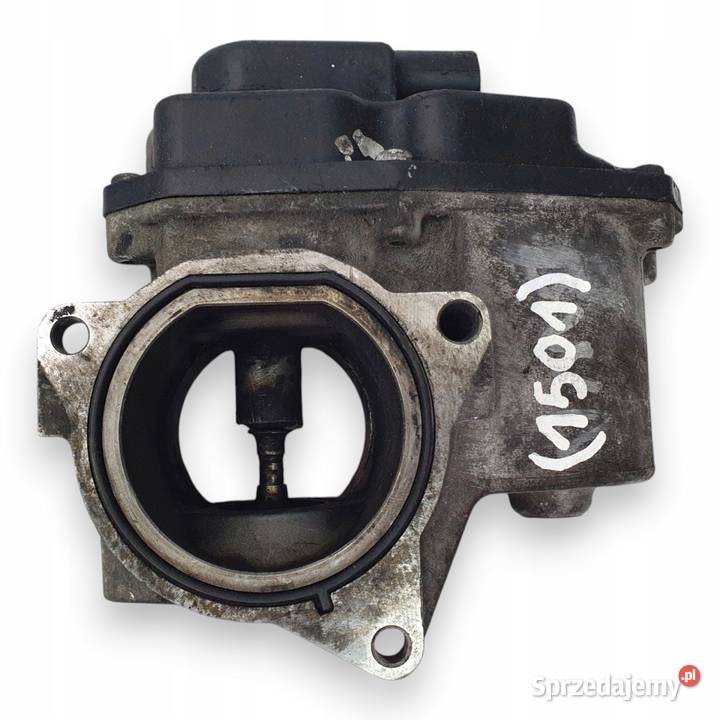 ZAWÓR EGR Volkswagen Passat B6 Golf V Octavia II osobowe Chełm