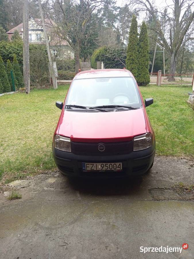 fiat panda