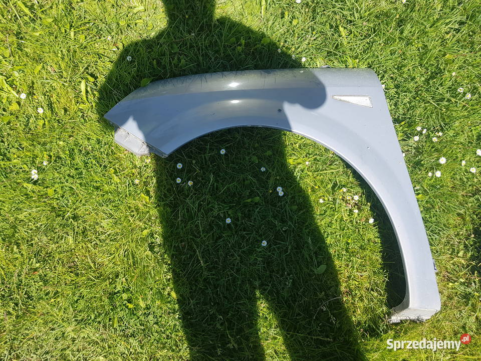 renault scenic II blotnik prawy