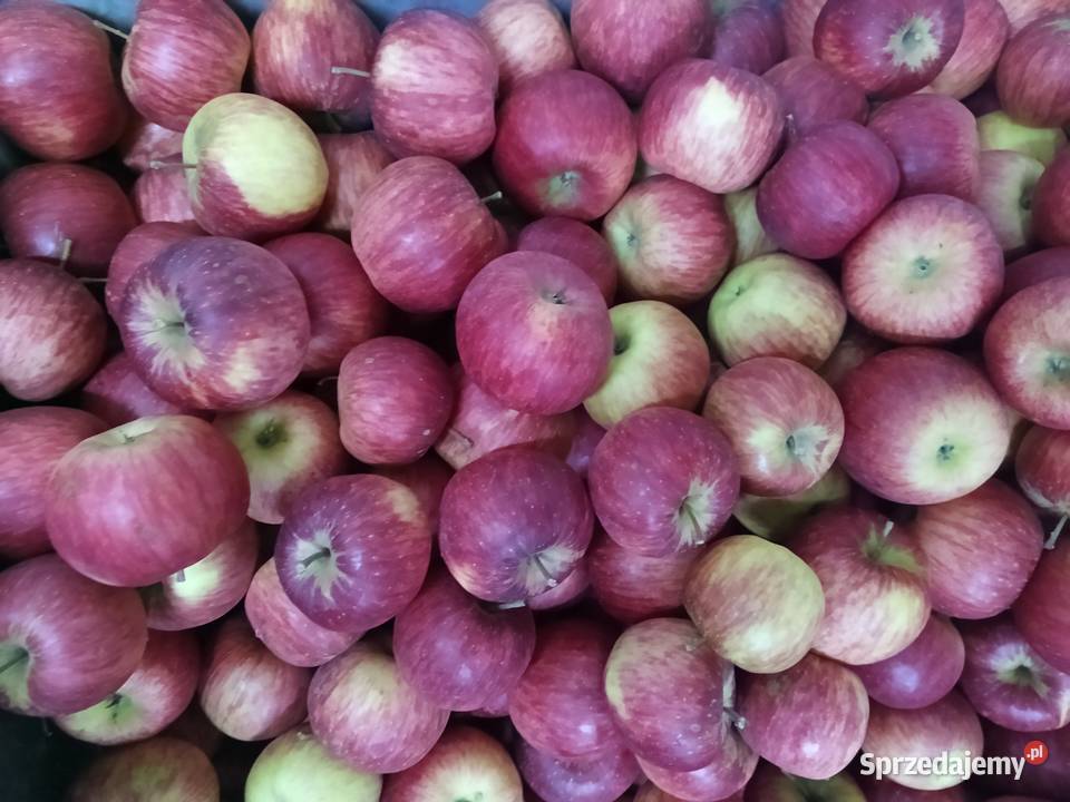 Sprzedam ekologiczne warzywa i owoce sprzedaż Owocowe Kobylany