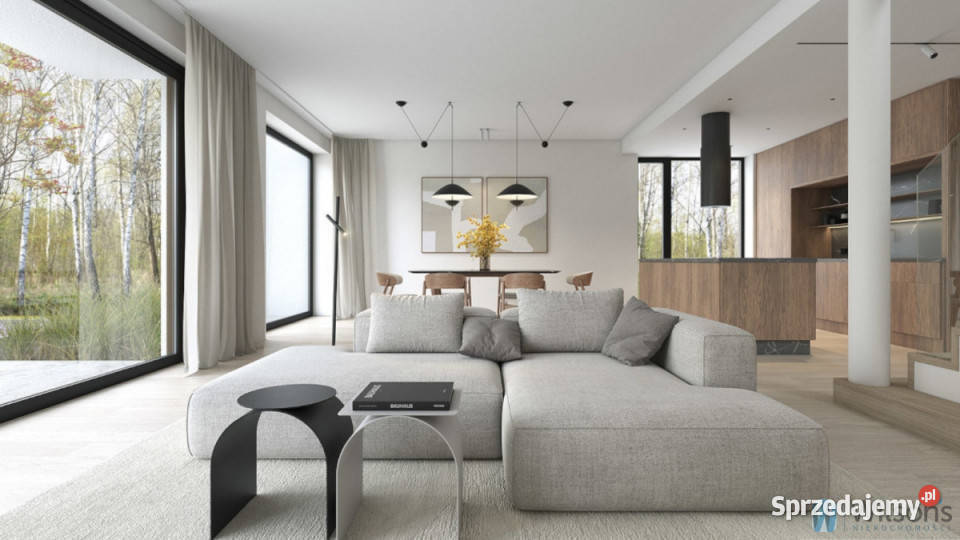 Dom wolnostojący Pęclin 272m2
