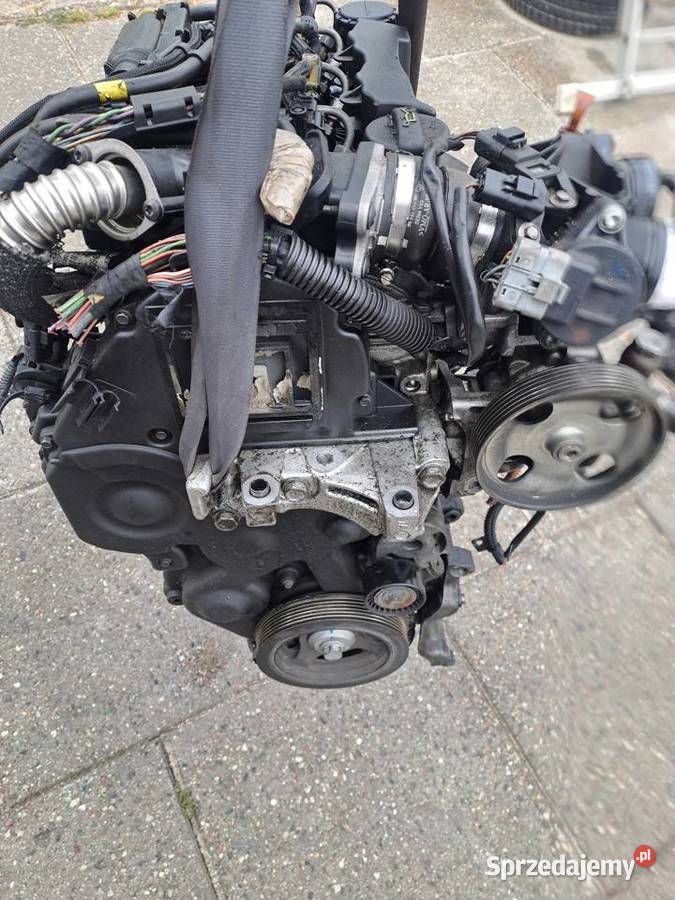 Citroen Peugeot 16 HDi 109 silnik kompletny kod Jastrzębie-Zdrój sprzedam