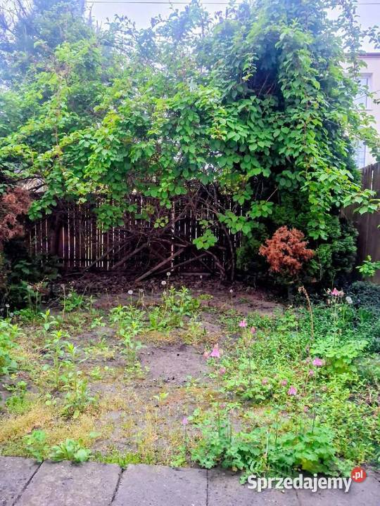 Mieszkanie z ogródkiem do wynajęcia Okazja Rembertów