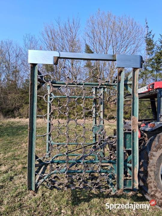 Włóka polowa łąkowa