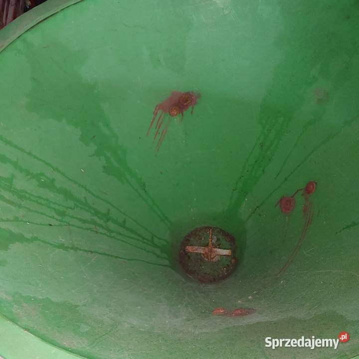 Sprzedam rozsiewacz lej opolskie Kluczbork sprzedam