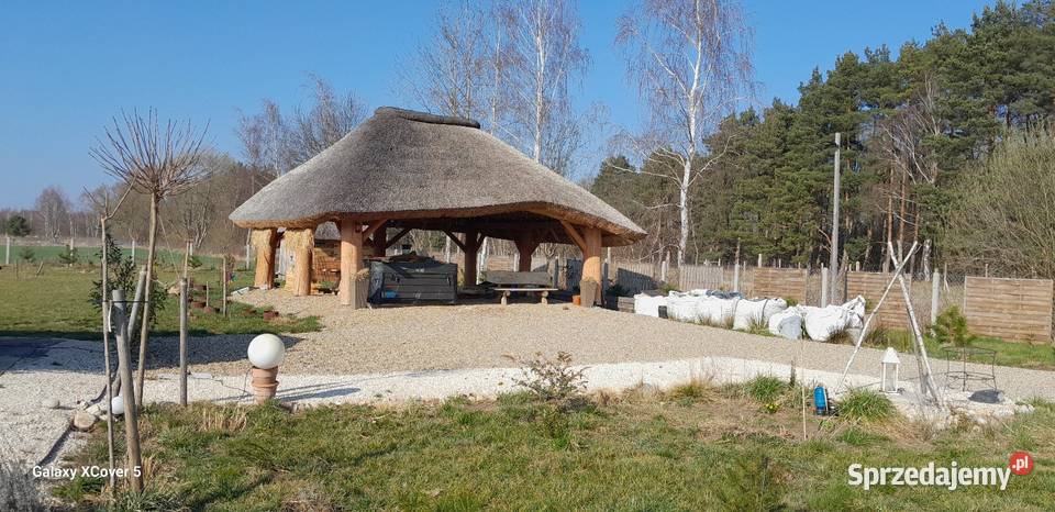 StrzechaAltany sprzedam