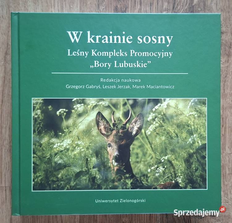 W krainie sosny Leśny Kompleks Promocyjny Bory Zielona Góra