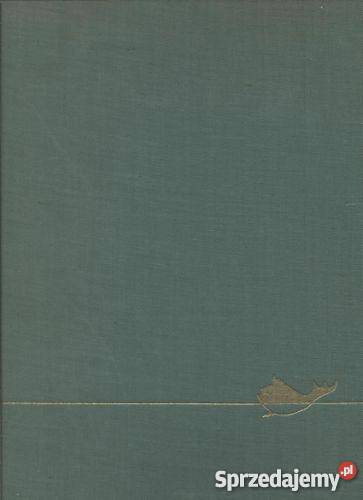 Ziemia Koszalińska Szczecin