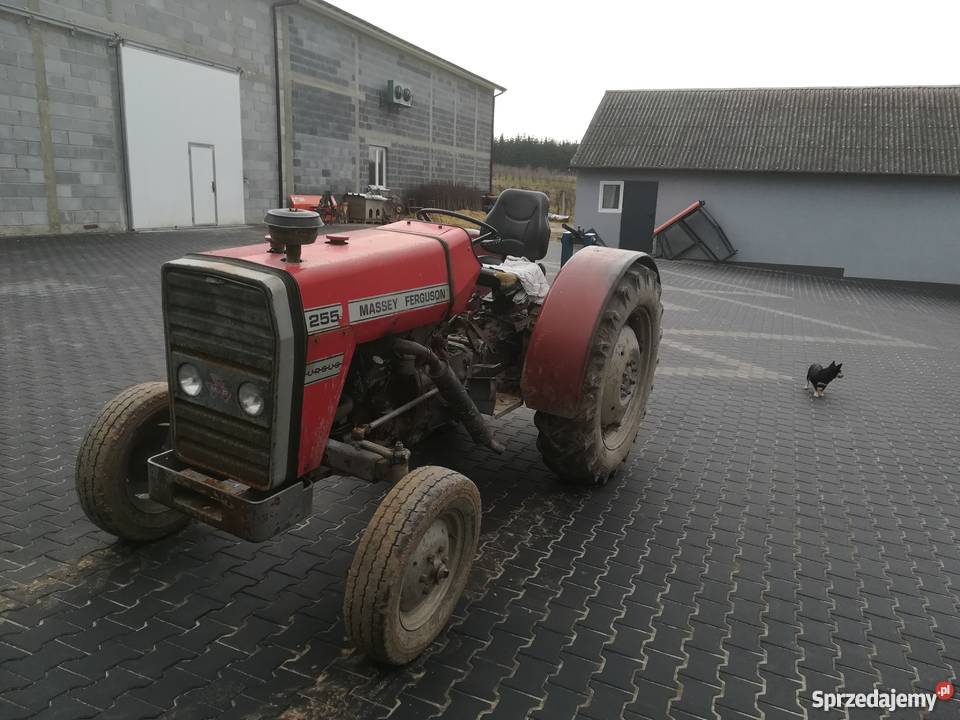 Sprzedam MF 255 sadowniczy Jeziórka