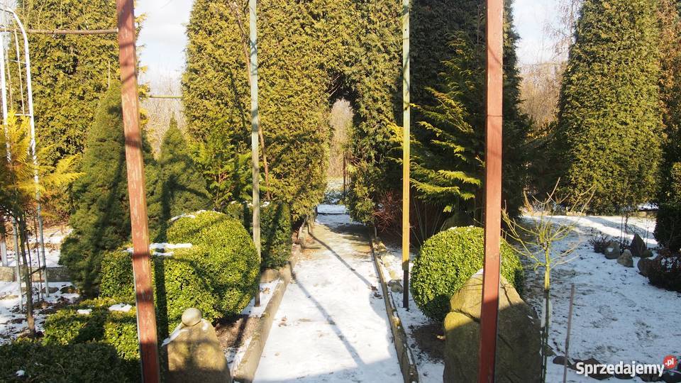 ogródek działkowy 23m Grunty i działki mazowieckie Sochaczew