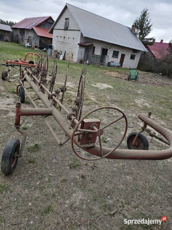 zgrabiarka gwiazdowa grabarka 7 gwiazdowa