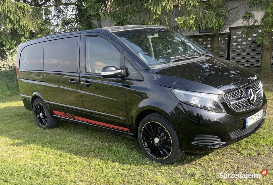 Mercedes Viano Pniewy