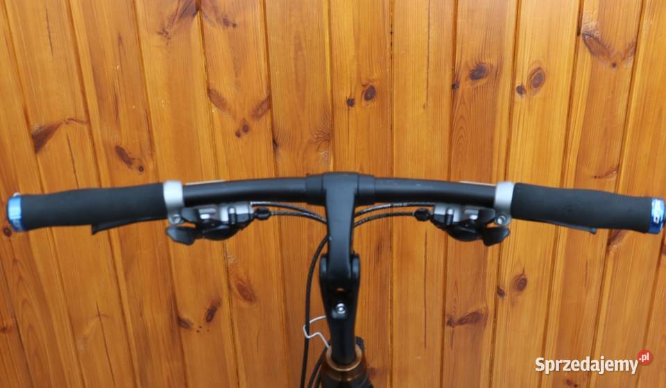 Rower męski Batavus Zonar H 57 I inne rowery Milanówek