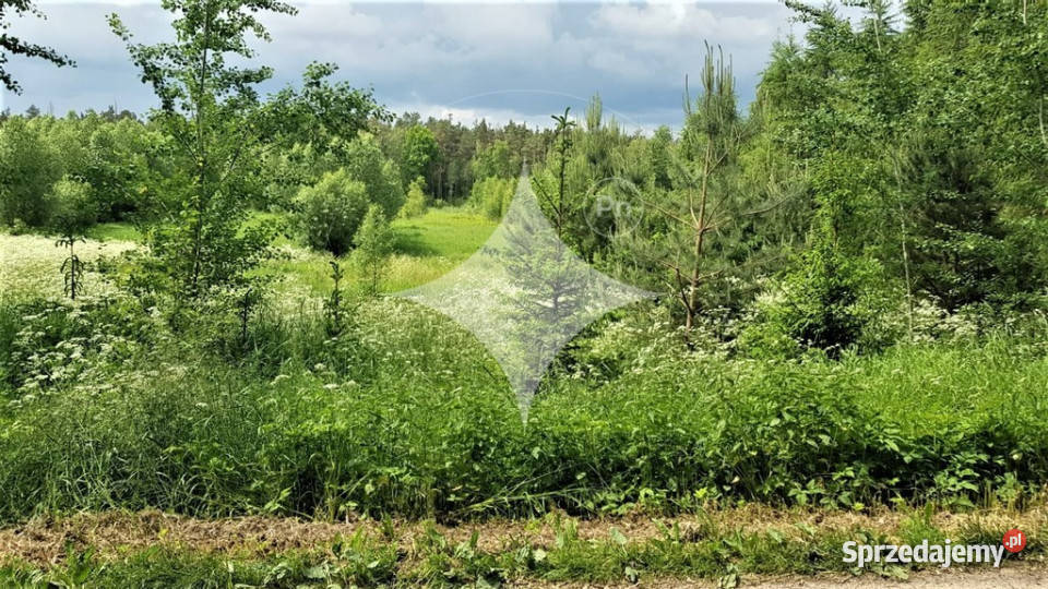 Działka rolna na Mazurach Golubie